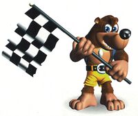 DKR Banjo Flag.jpg